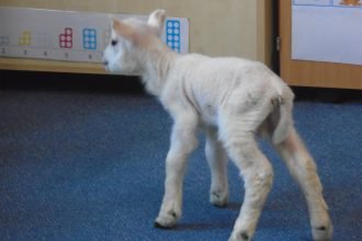 We Learn About Spring